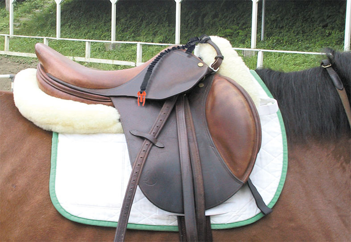 Spulendraht Reitsport (Coiled Wire 2)